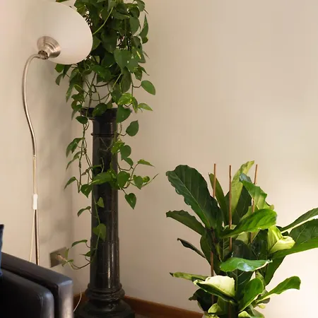 Apartment Oasi Artistica A Trastevere